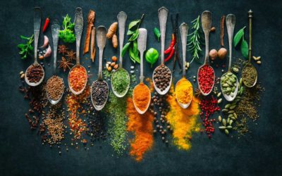 Dietetique-Nutrition: Il s’agit de quoi exactement?